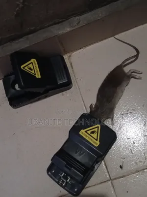 Rat Traps With Quality Spring and Body