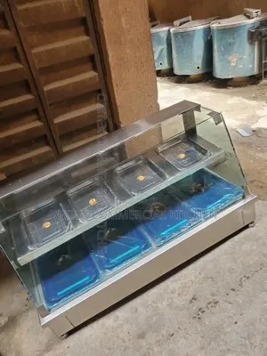 4plates Electric Food Warmer Is Available for Sale