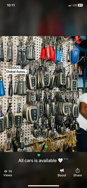 Original Ion Key Cover All Cars Available
