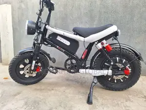 Rechargeable Medium Bicycle