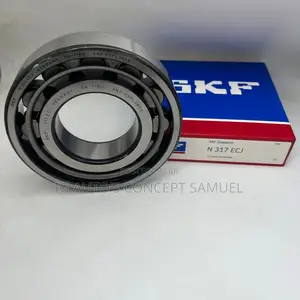 N317ECP SKF Bearing Available at Affordable Price