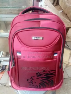 School or Laptop Bag