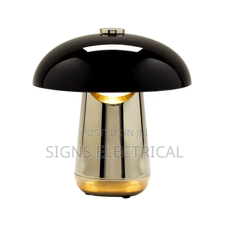 Modern Simple Designer Model Room Light Luxury