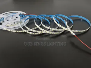 5mtrs White Led Strip Dc 24v Led Tape Light