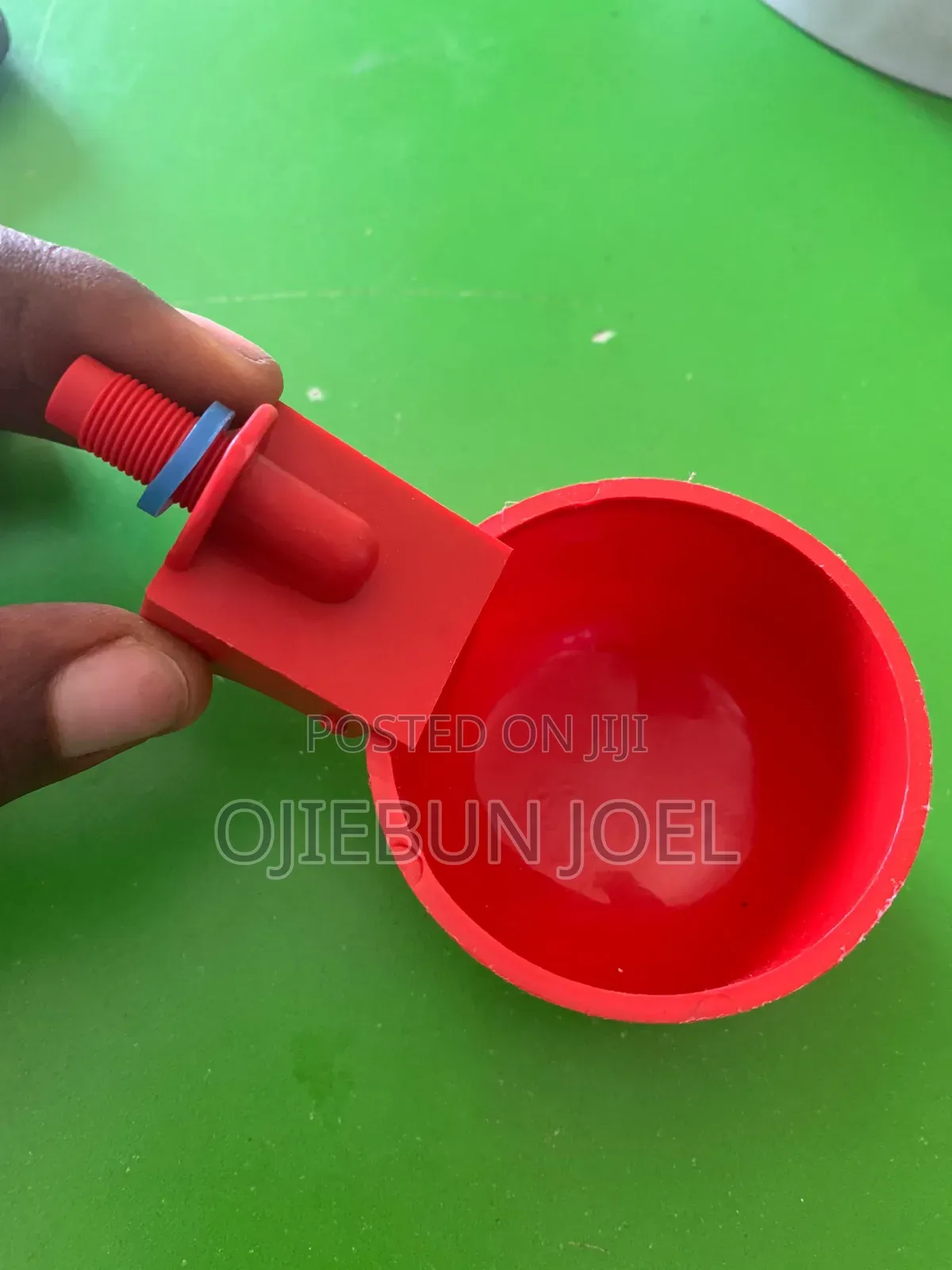 Chicken Cup
