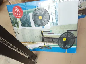 Introducing BB 18" Inches