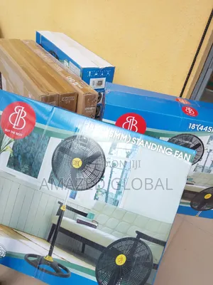 BB 18" Domestic Fan Standing Type