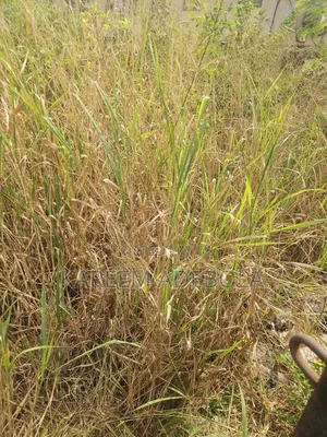 1900 Square Meters at Agodi Gra Ibadan