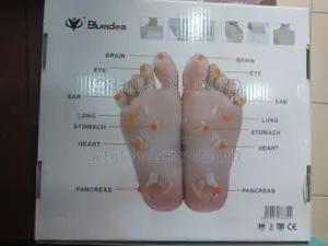 Electric Pulse Massager Therapy Machine Acupuncture Slippers.