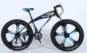 Photo - Outdoor Bicycle (Big Tyre - Alloy Wheel)