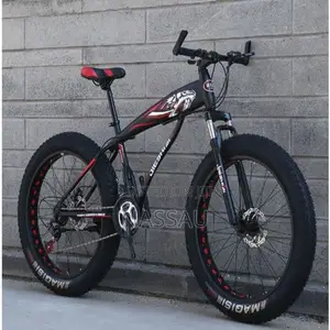 Photo - Outdoor Bicycle (Big Tyre)