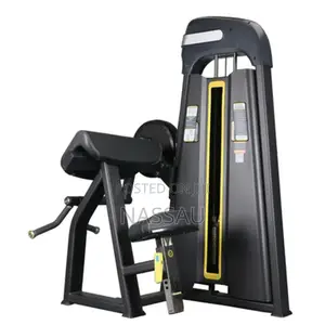 Commercial Bicep Curl + Tricep Machine