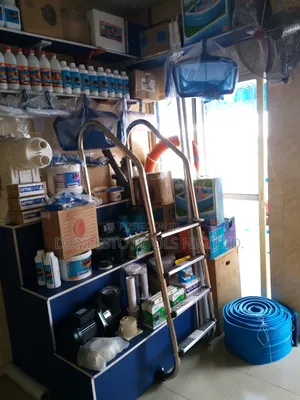 Swimming Pool Ladder