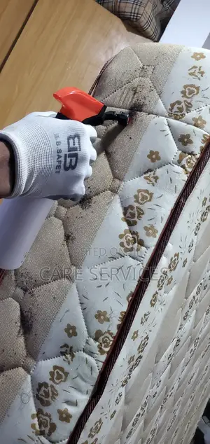 Call Us to Get Rid of Bedbugs