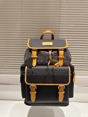 Coach Luxury Pure Leather Back Pack