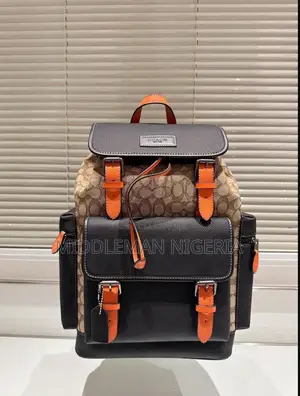 Coach Luxury Pure Leather Back Pack