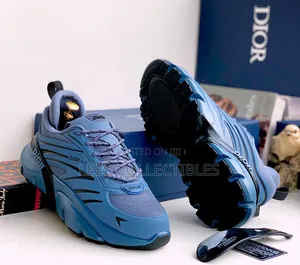 First Graded Dior Sneakers
