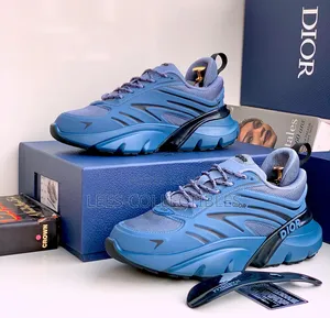 First Graded Dior Sneakers