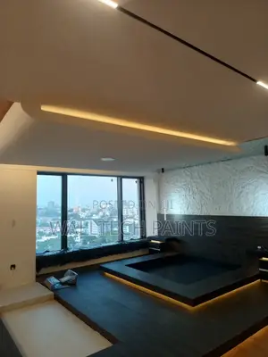 Professional Painting Services