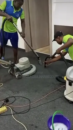 Squeaky Cleaning,Upholstery And Fumigation Services