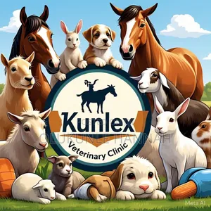 Veterinary Doctor/Consultant