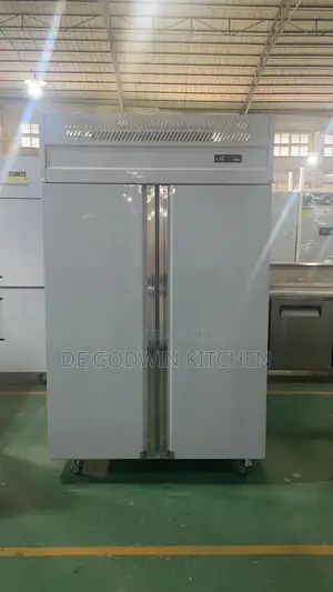 Double Door Upright Freezer