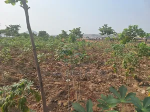 Airport Road Shopping Plaza Plot for Distress Sale