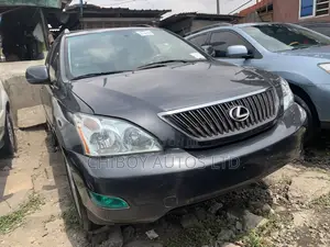 Lexus RX 330 2005 Gray