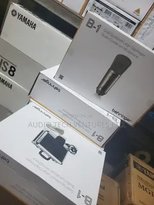 Behringer B1 Studio Mic