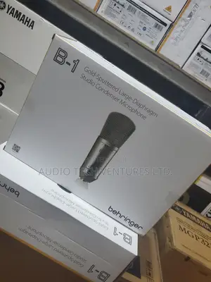 Behringer B1 Studio Mic