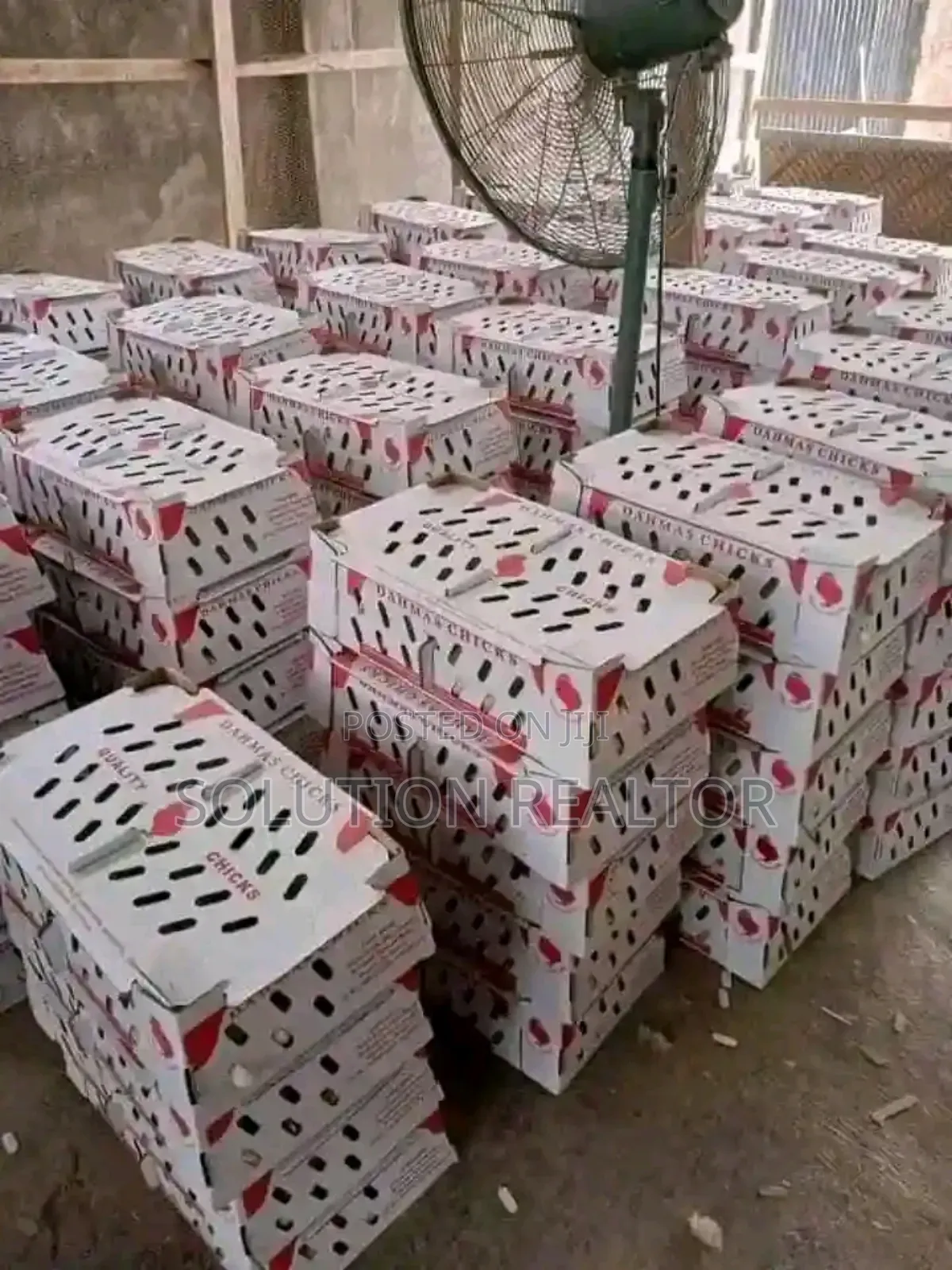 Broilers Noiler Turkey Etc