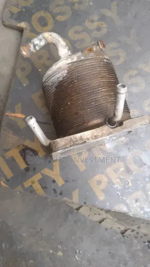 Nissan Rogue/Quashqai Gear Coolant