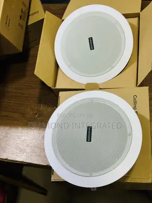 Shinewave 30watts Crossover Pop/Ceiling Speaker