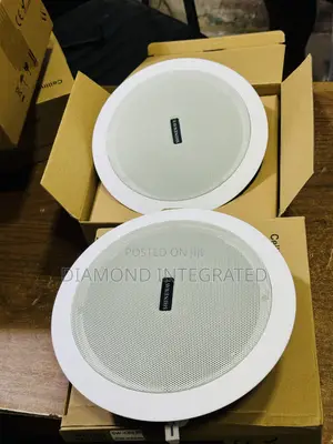 Shinewave 30 Watts Pop/Ceiling Speaker