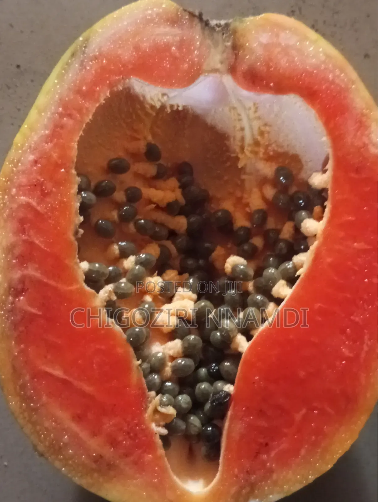 Red Lady Papaya Seeds and Seedlings