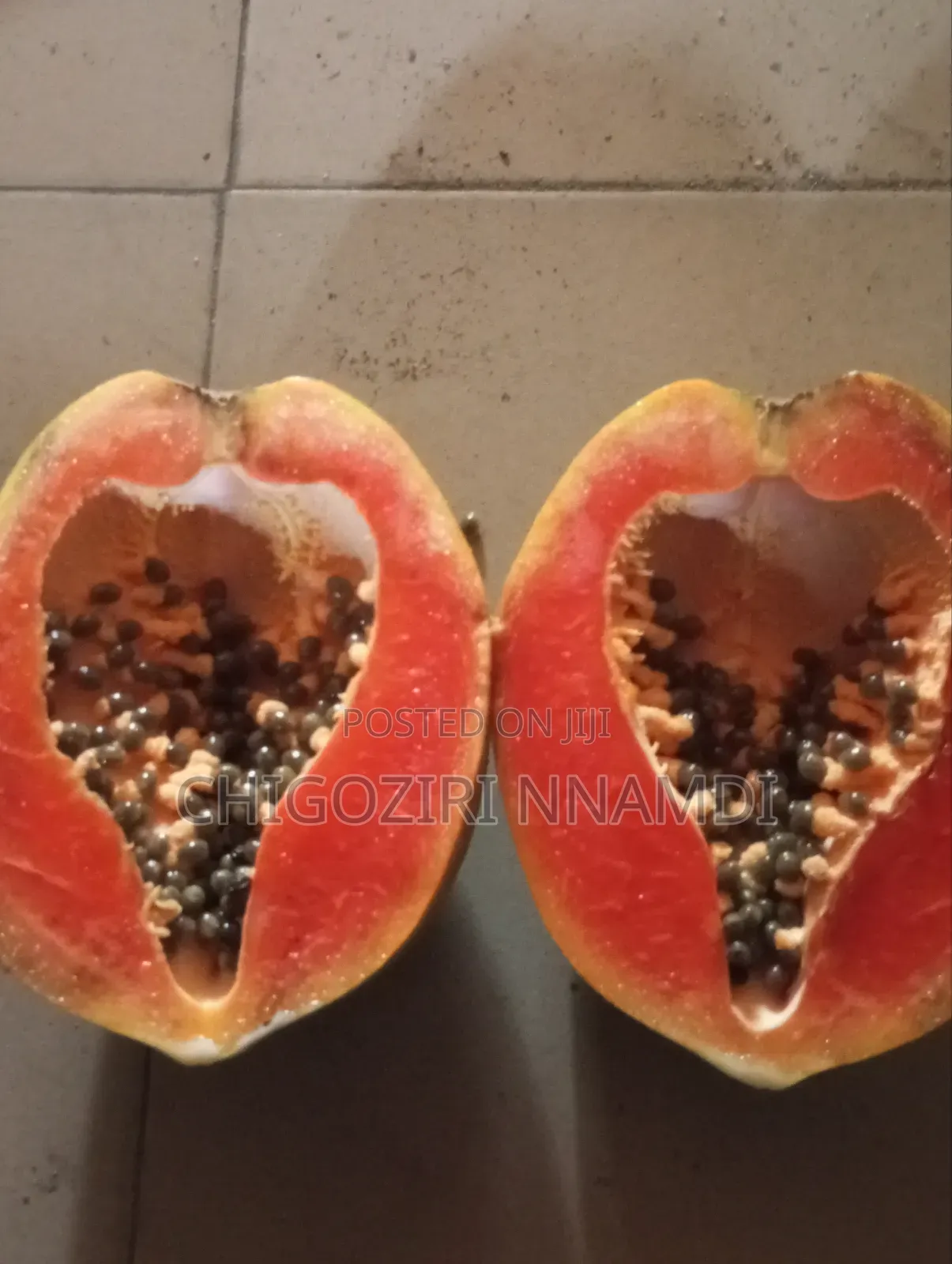 Red Lady Papaya Seeds and Seedlings