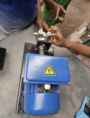 Original Brand New Gas Pump