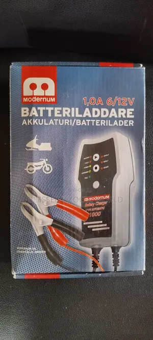 1000v Modernum Batteriladdare Battery Charger for Car, Buses