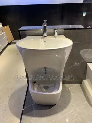 Standing Basins With Urinary and Taps.