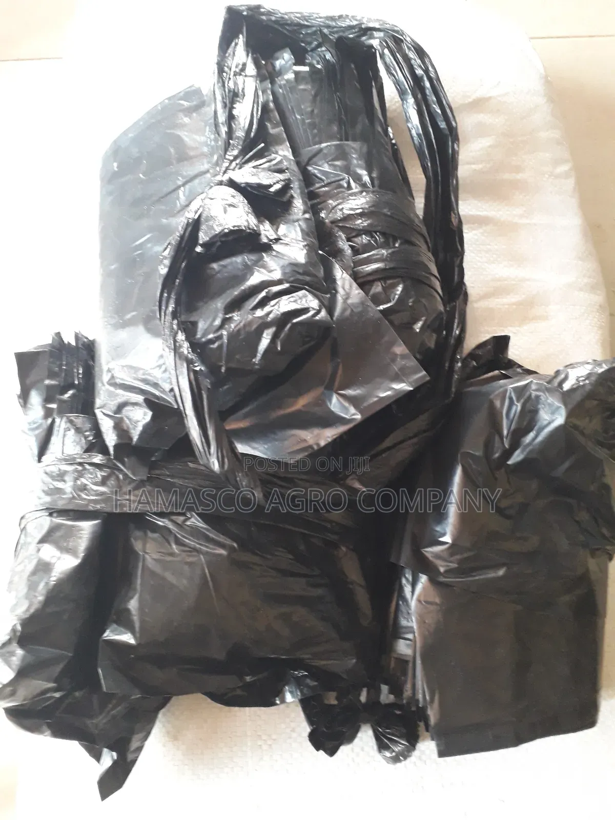 Nylon for Nursing Palm