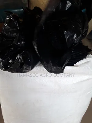 Nylon for Nursing Palm