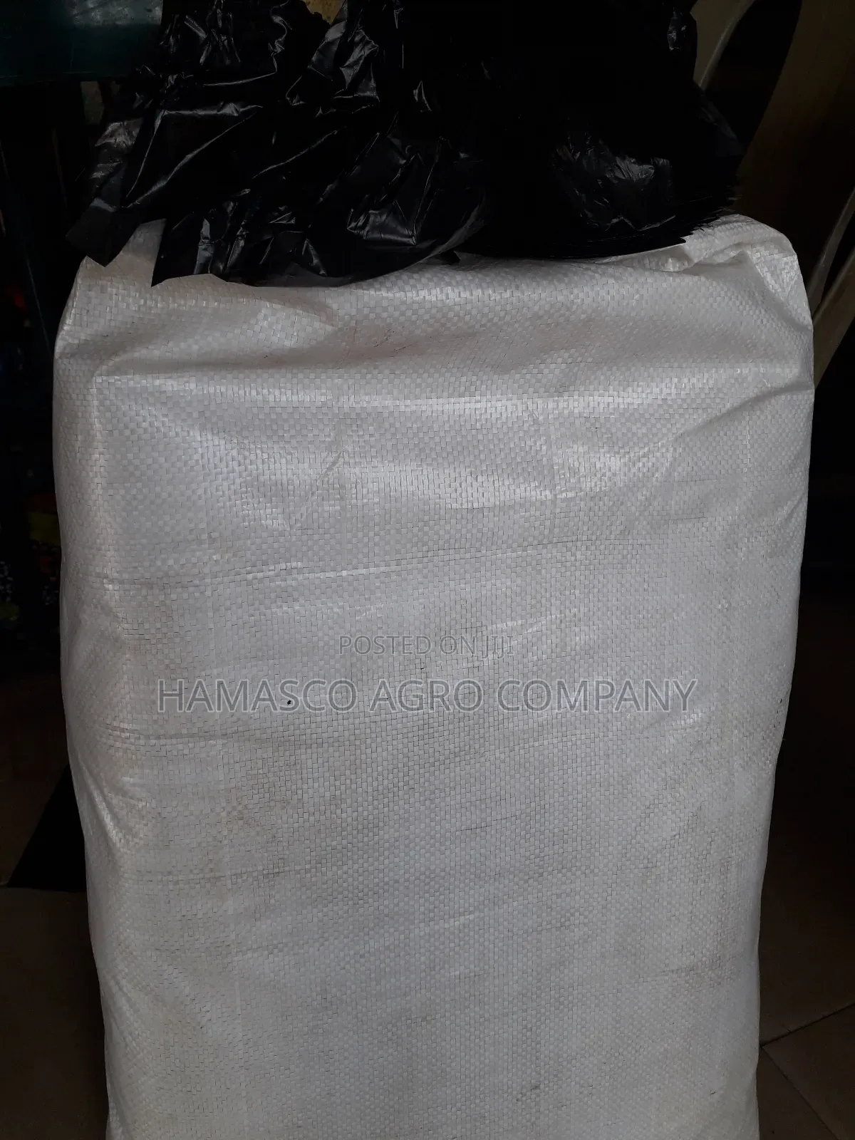 Nylon for Nursing Palm