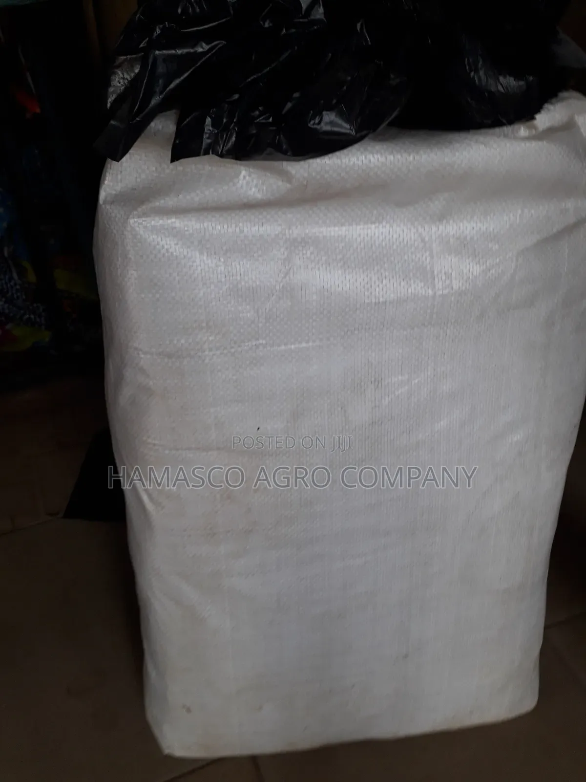 Nylon for Nursing Palm