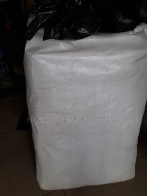 Nylon for Nursing Palm