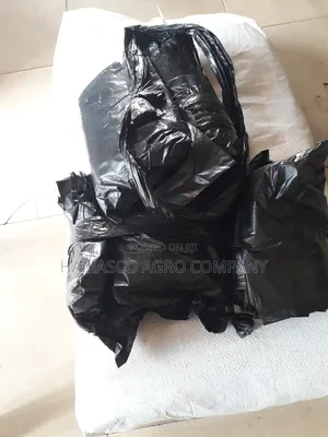 Nylon for Nursing Palm