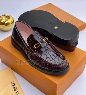 Louis Vuitton Luxury Shoes