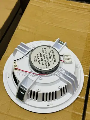 High Quality Shinewave Ceiling Speaker