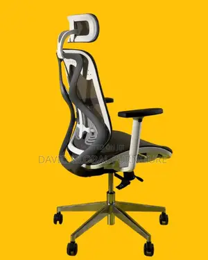 Ergonomic Office Chair for Extra Comfort