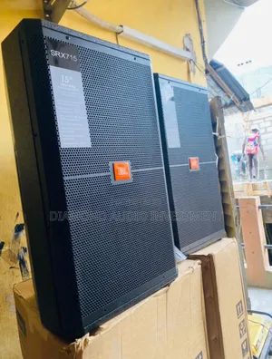 JBL SRX715 Mid Range Speaker