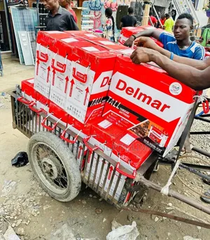 220ah Delmar Tubular Battery
